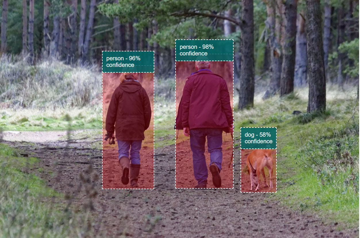 Object Detection